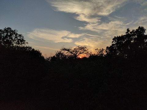 sunset