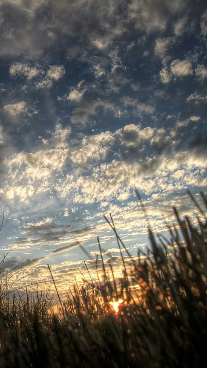 summer