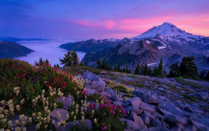 Mountain view