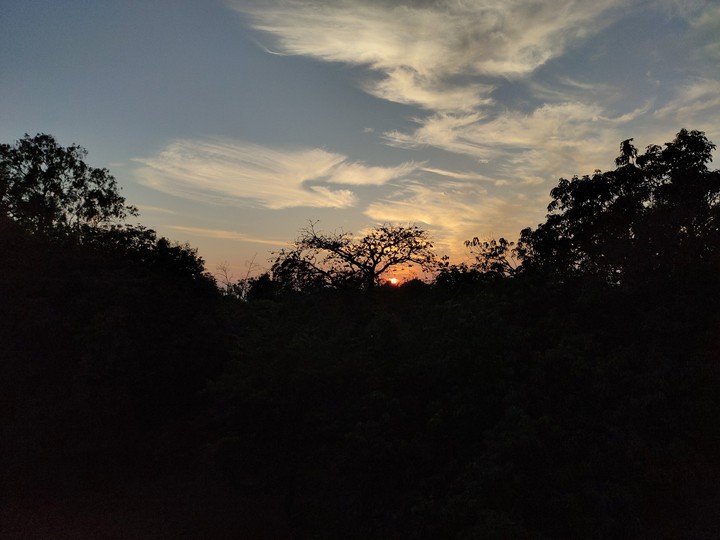 sunset