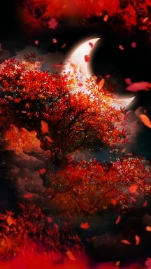 Good night ✨✨✨
