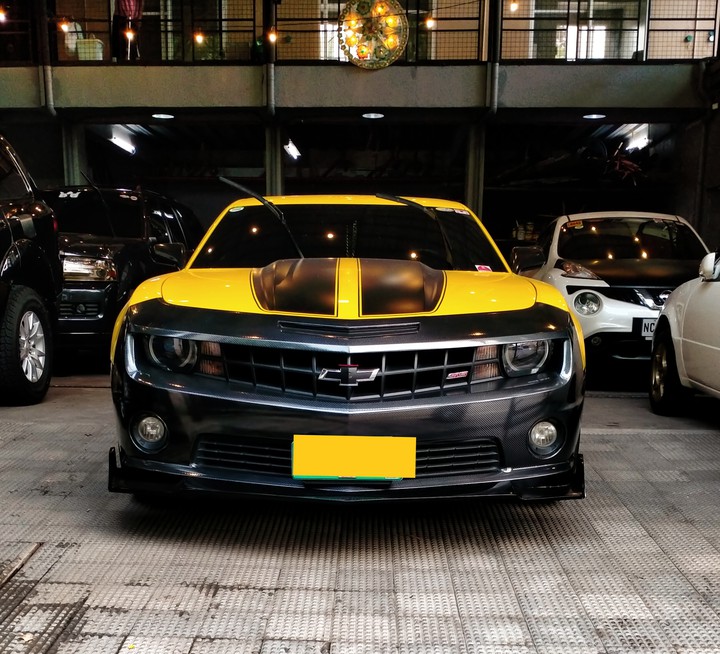 Bumble Bee