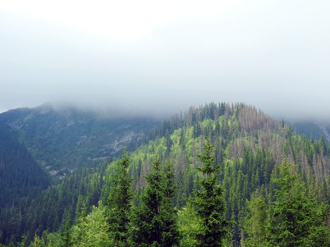 Mountains