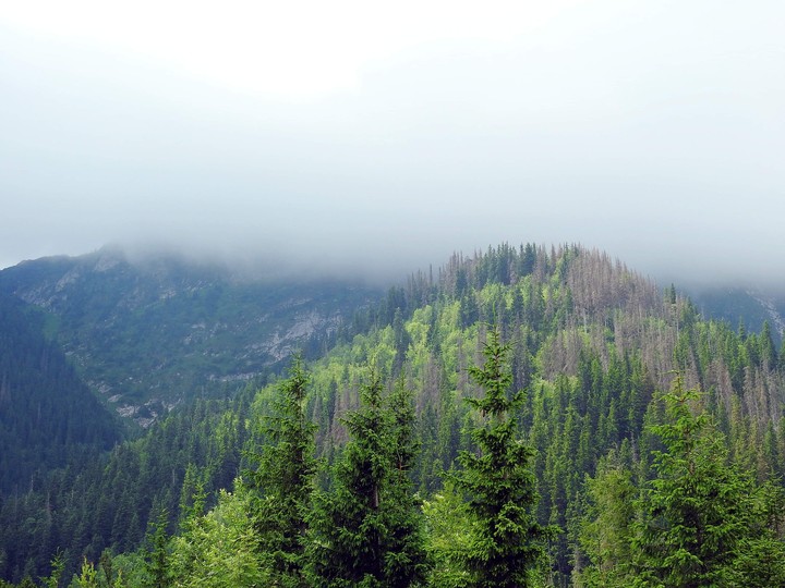 Mountains