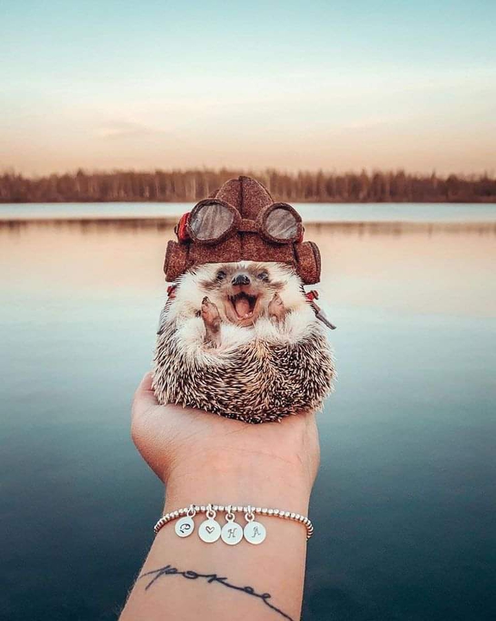 ♡