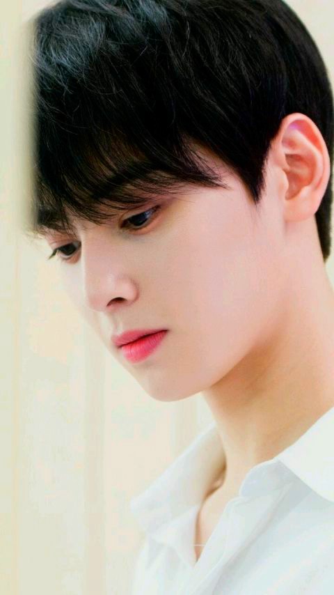cha eun woo