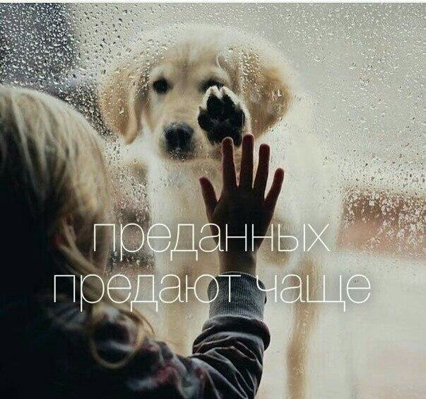 преданность