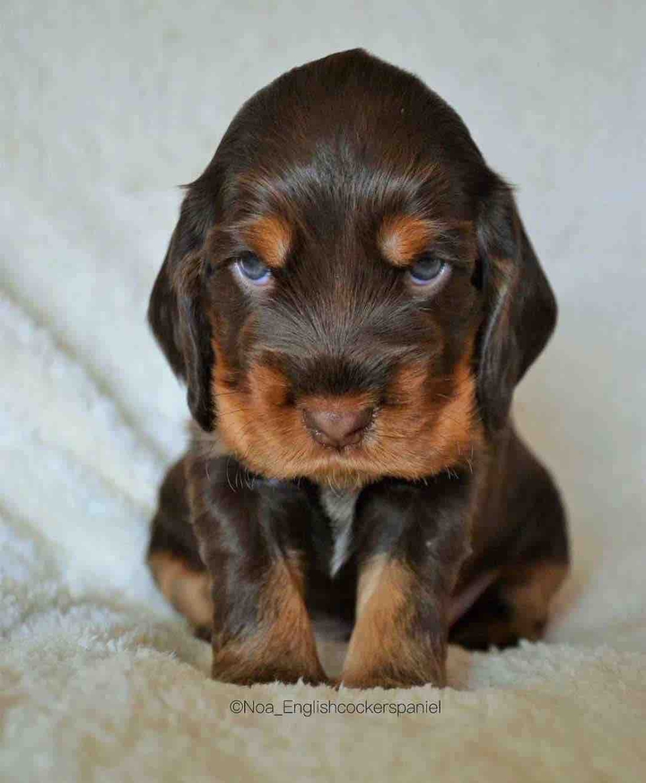 I will find you!