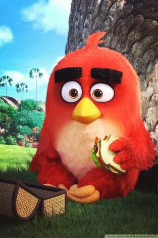 cute bird