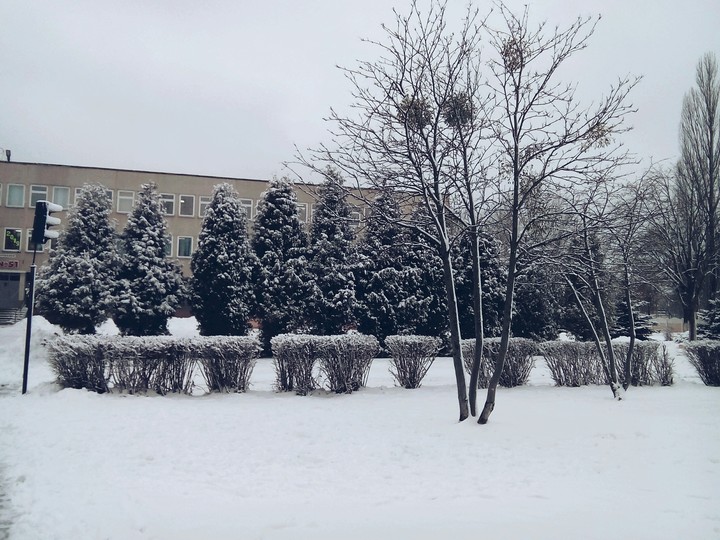 Snowy