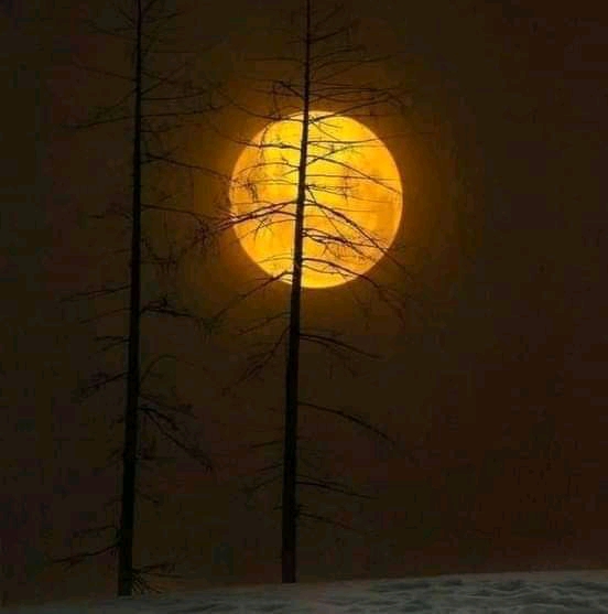 quiet night
