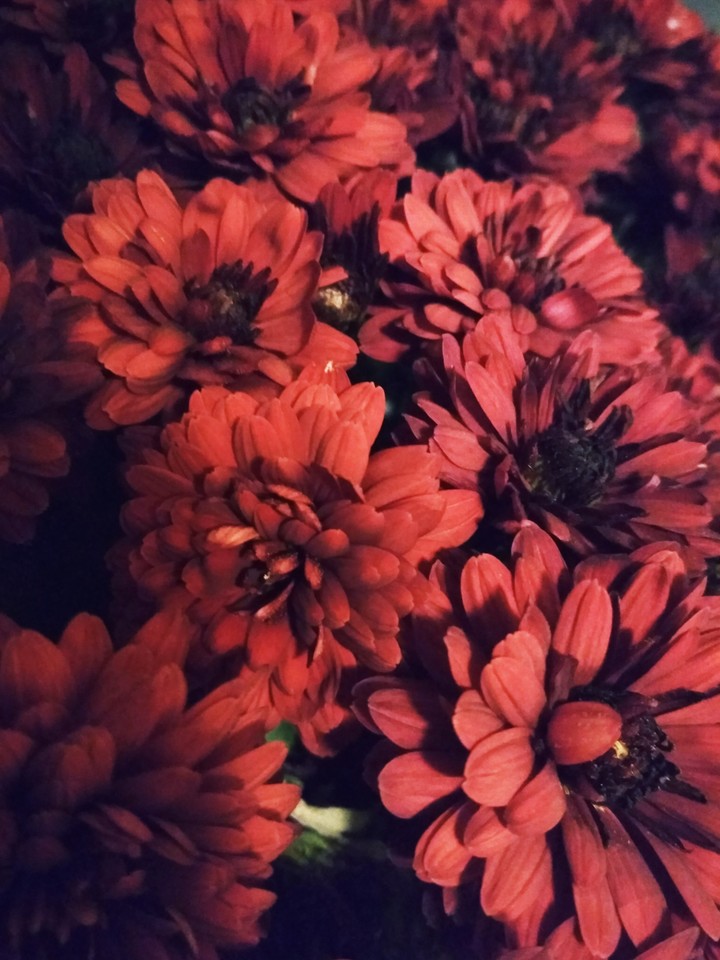 red