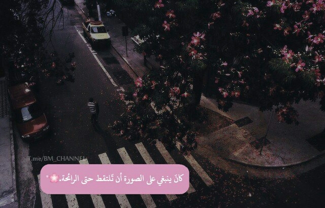 صباح الورد والياسمين ،،، The morning of roses Jasmine