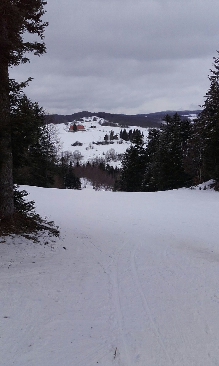 Snow.