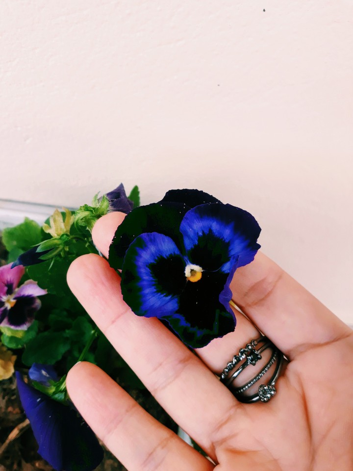 Blue