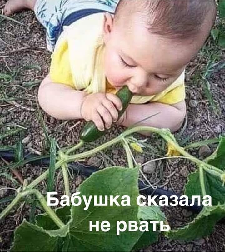 Y.H.