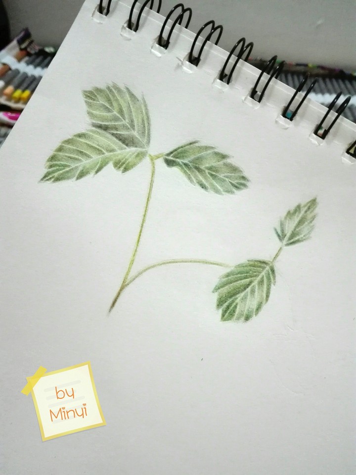 Drawing