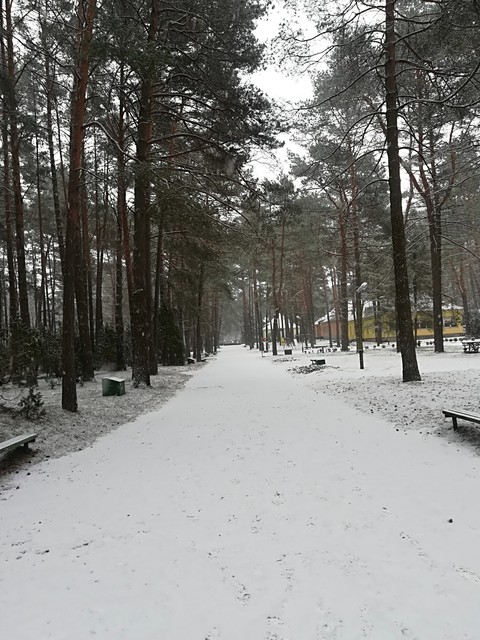 path, blizzard壁纸