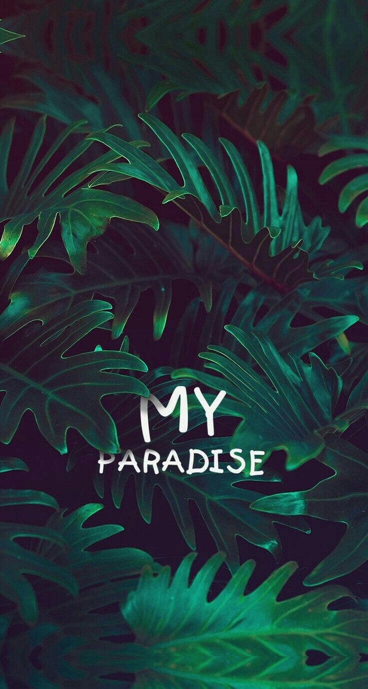 ❤❤