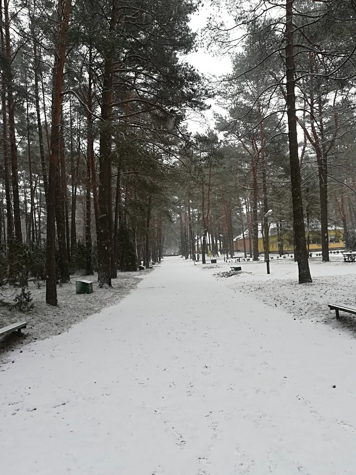 ❄️❄️