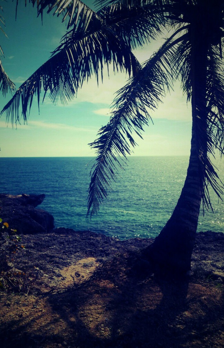 sea