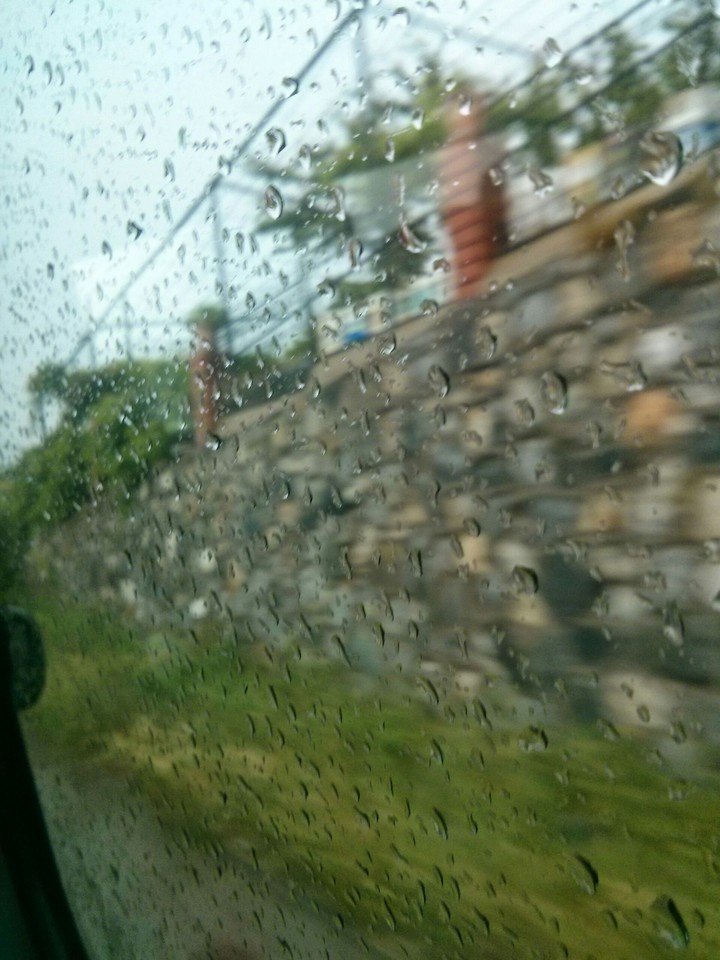 rain Uludağ