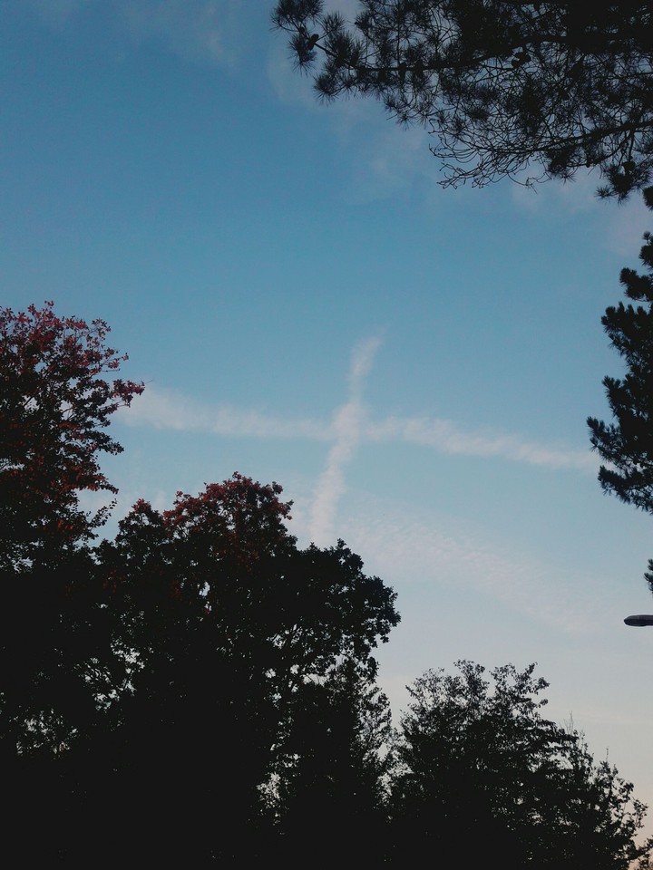 Plus in the Sky
