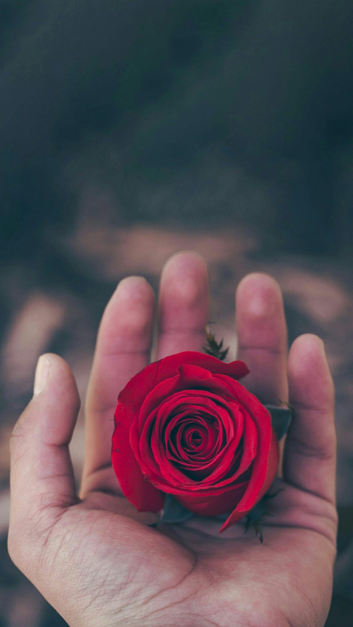 For You, With Love ❤