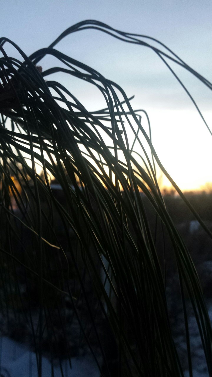 s u n s e t