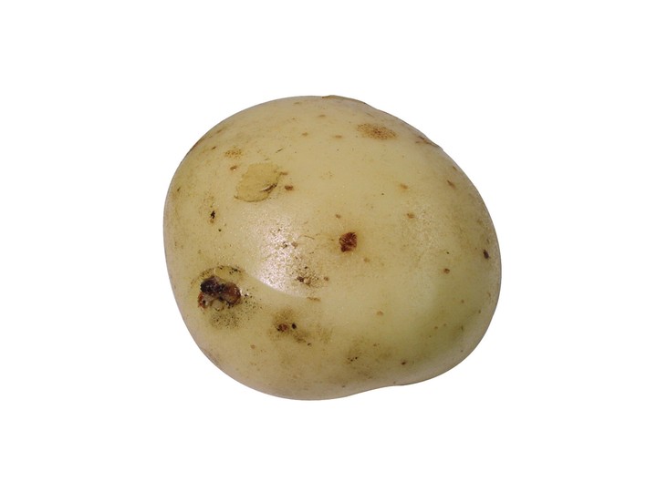 음식이미지