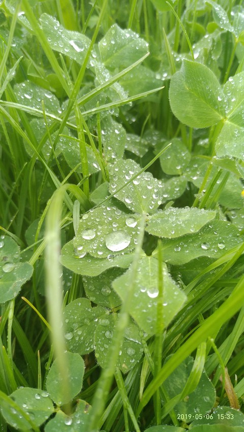 After rain...