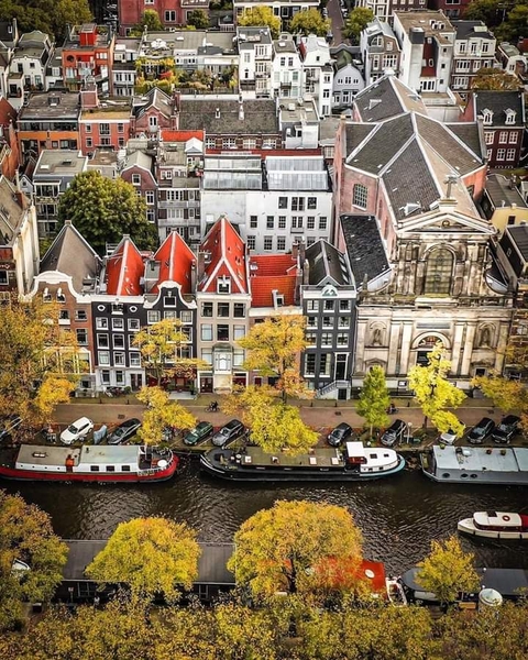 Netherlands, plant wallpapers