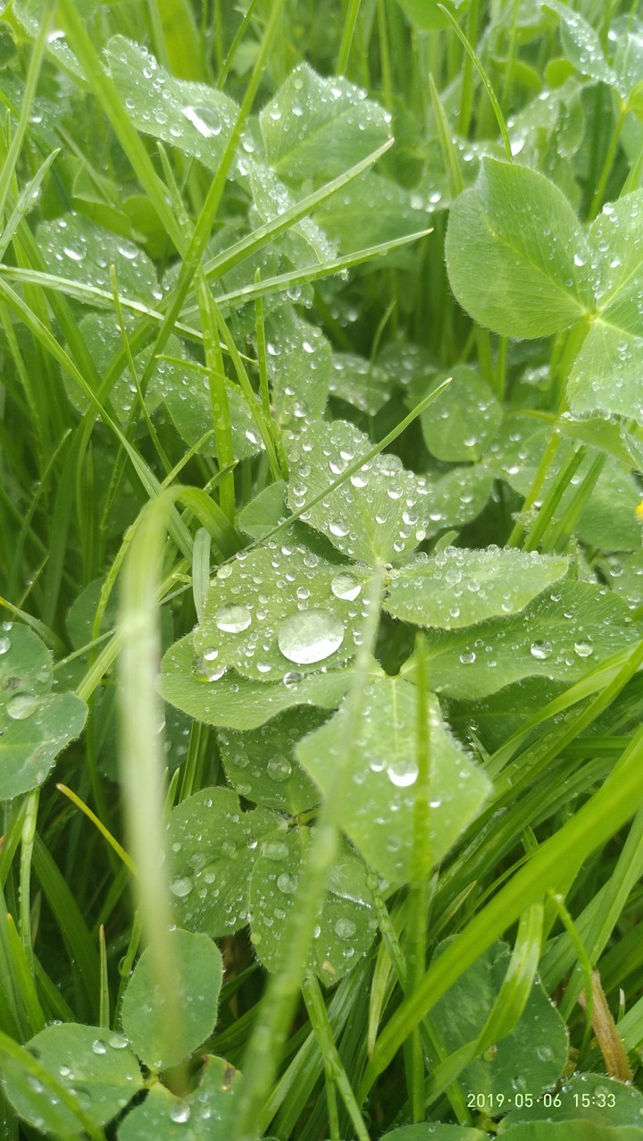 After rain...