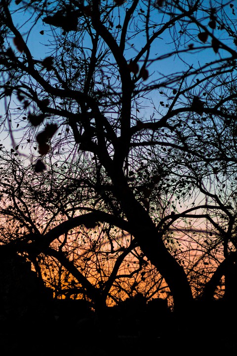 Sunset colors