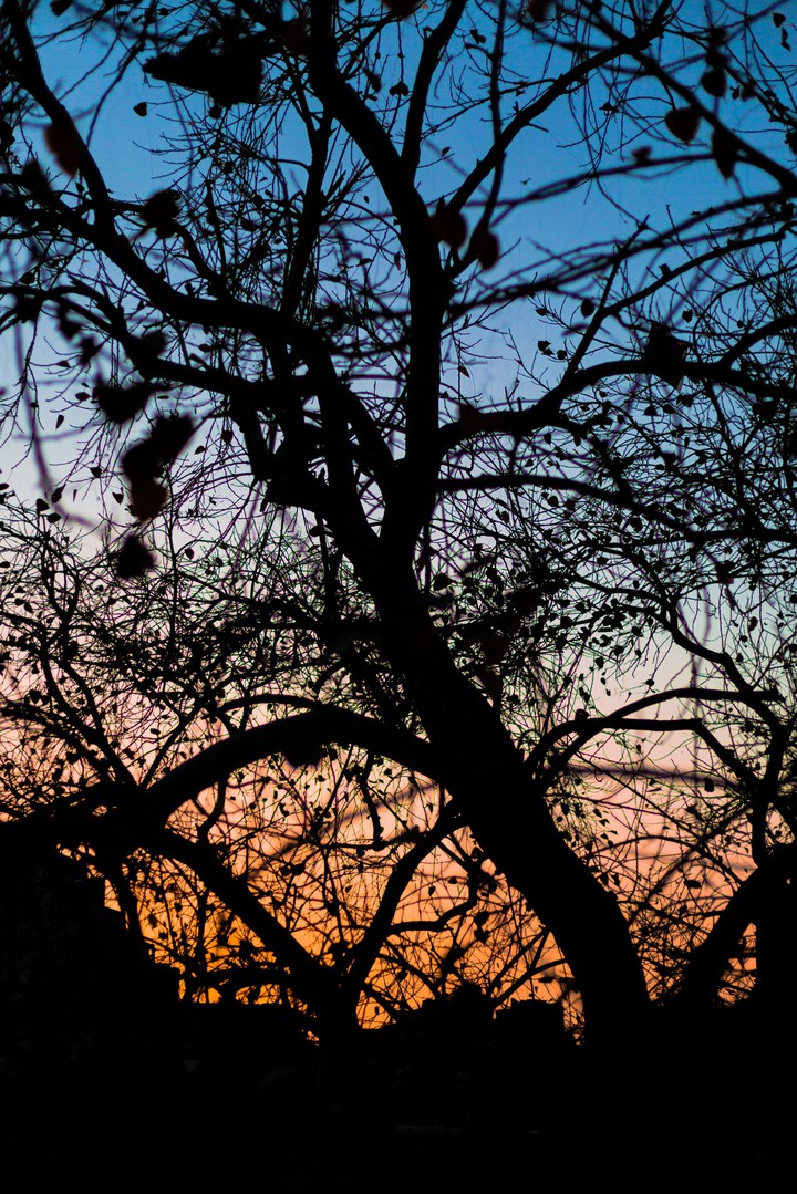 Sunset colors
