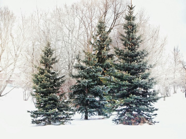 winter