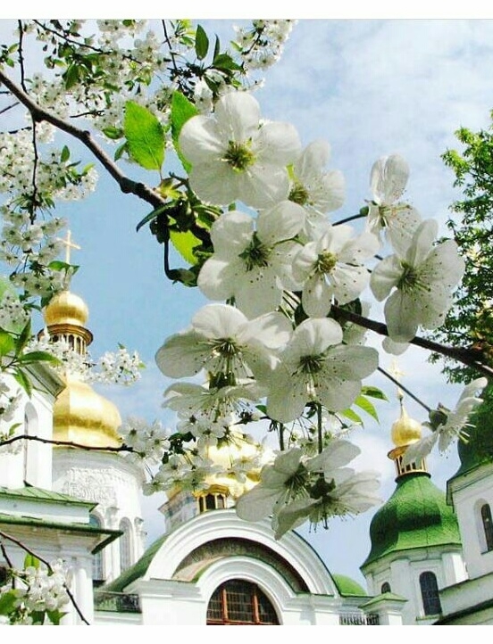 Весна