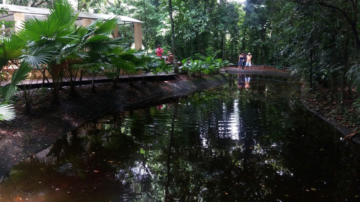 Botanical Garden,Recife,Brazil