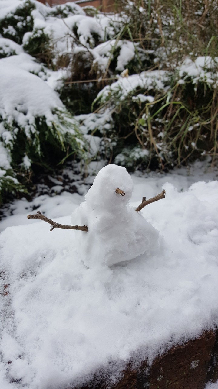 snowman