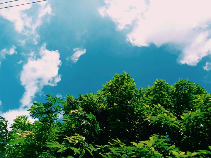 nice day (DRISHTI)