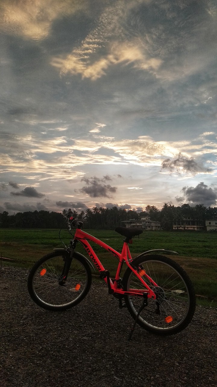 Cycle Vibe