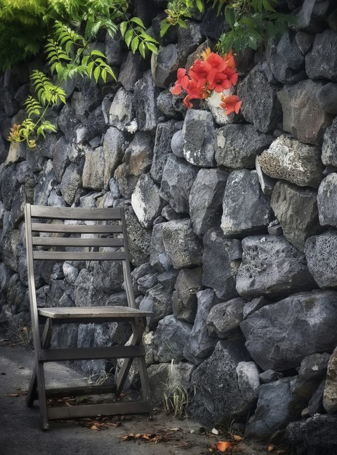 cobblestone, flower壁纸