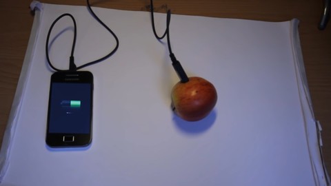 fruit battery