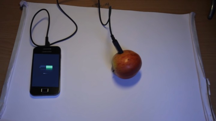 fruit battery