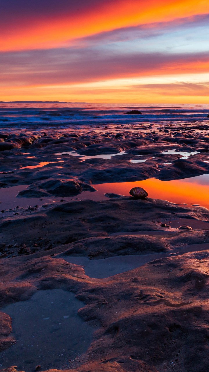 Lovely Nature. Sunset.