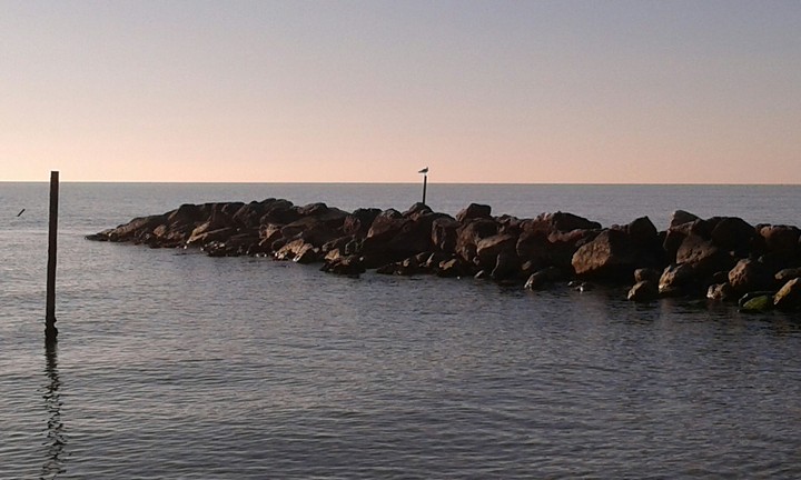 mare