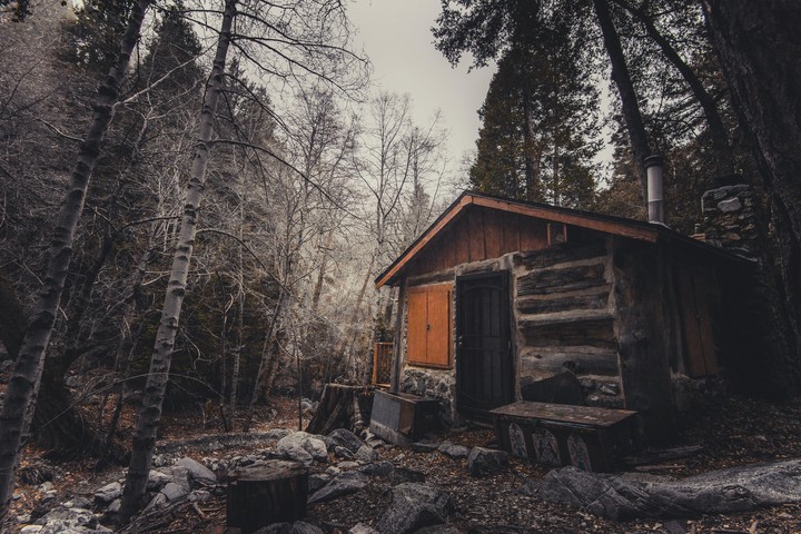 Forest House