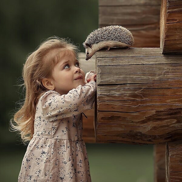 NICE PHOTO...