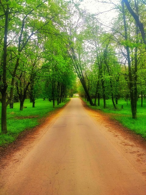 the road to heaven