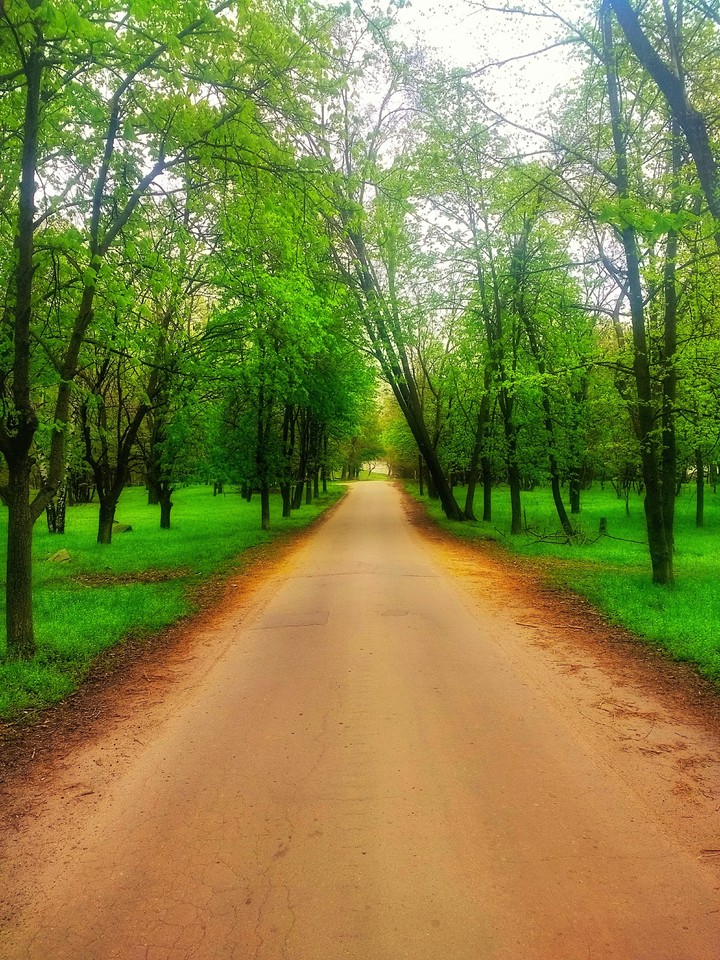 the road to heaven